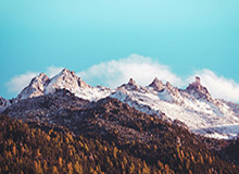 半岛体育官网：把热爱变成日常的导航港湾